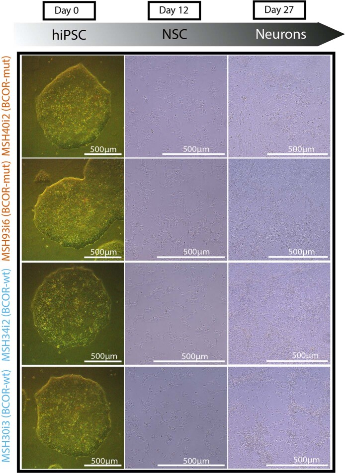 Extended Data Fig. 9