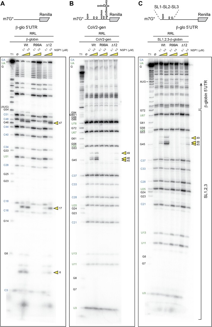 Figure 6.