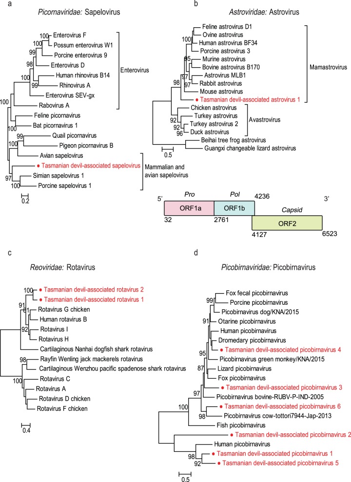 FIG 4