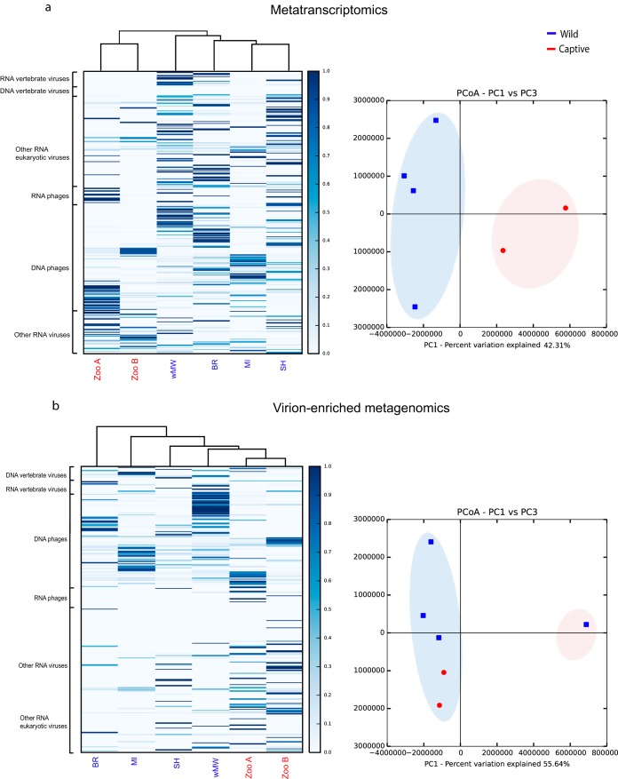 FIG 6