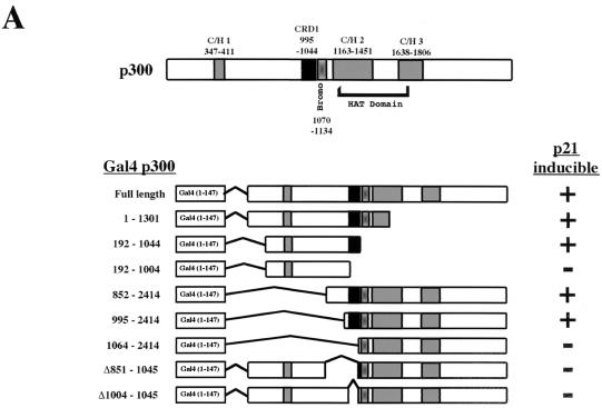 graphic file with name mb1402err06a.jpg