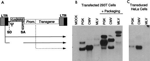 FIG. 1