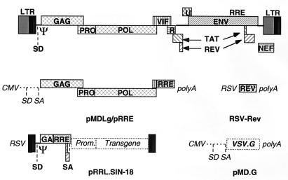 FIG. 4