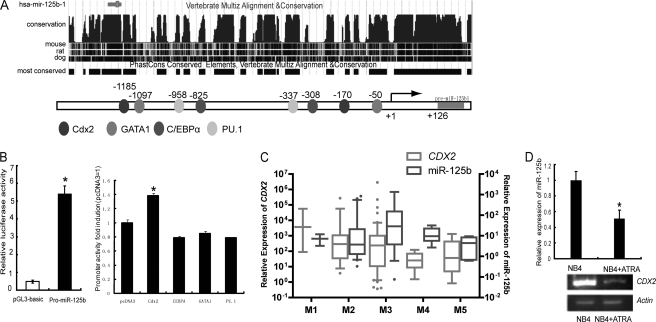 FIGURE 1.