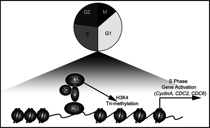 FIGURE 7.