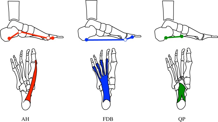 Figure 2.