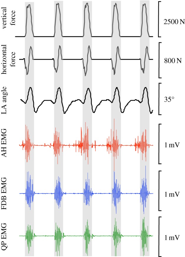 Figure 3.