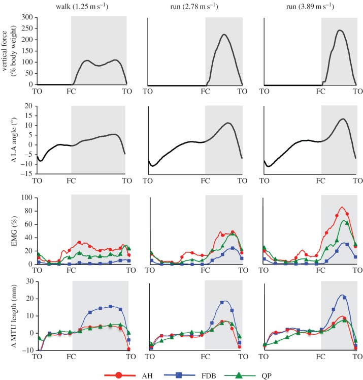 Figure 4.