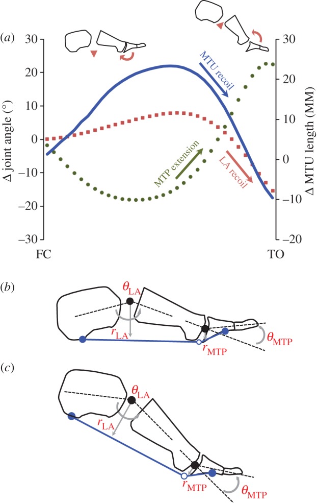 Figure 6.