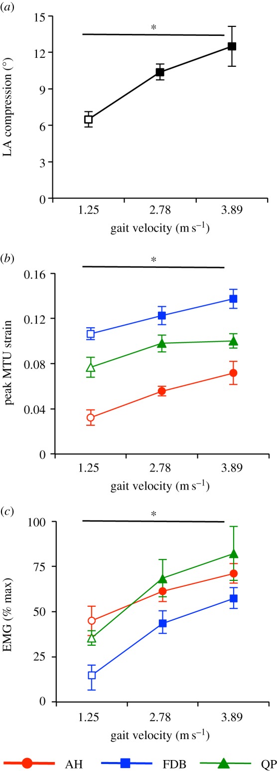 Figure 5.