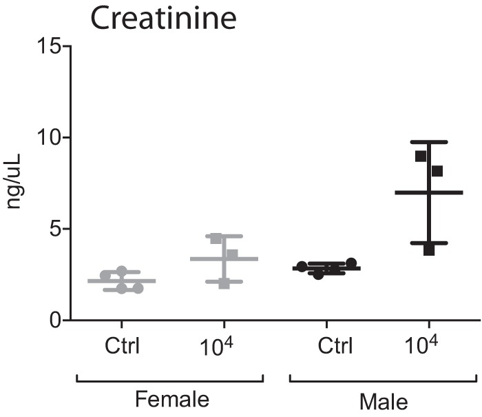 FIG 4