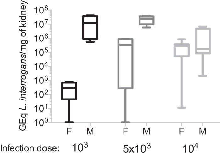 FIG 3