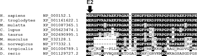 Supplementary Fig. 2