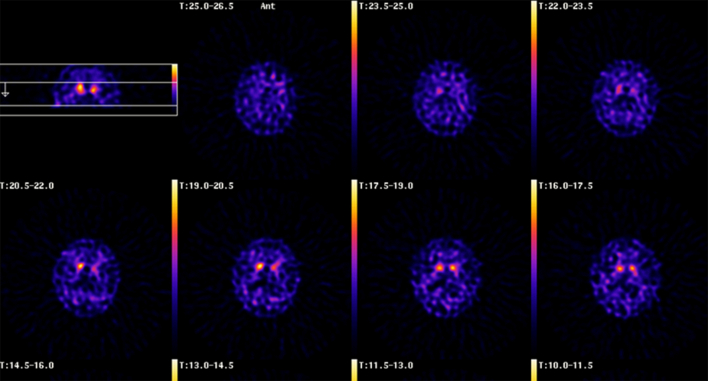 Supplementary Fig. 3