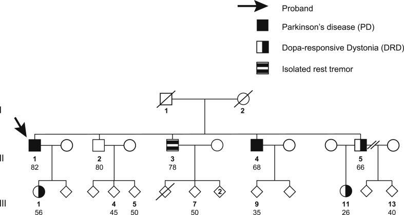 Fig. 1