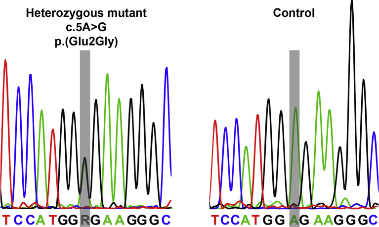 Supplementary Fig. 1