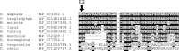 Supplementary Fig. 2