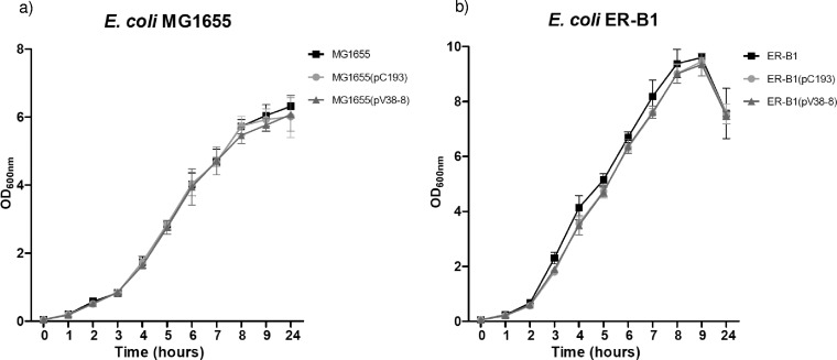 FIG 2