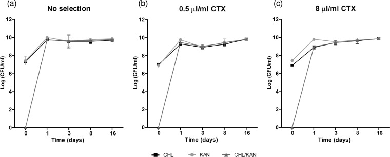 FIG 3