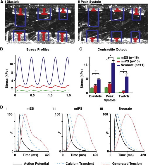 Figure 4