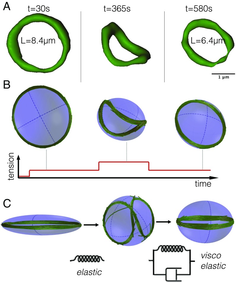 Fig. 3.