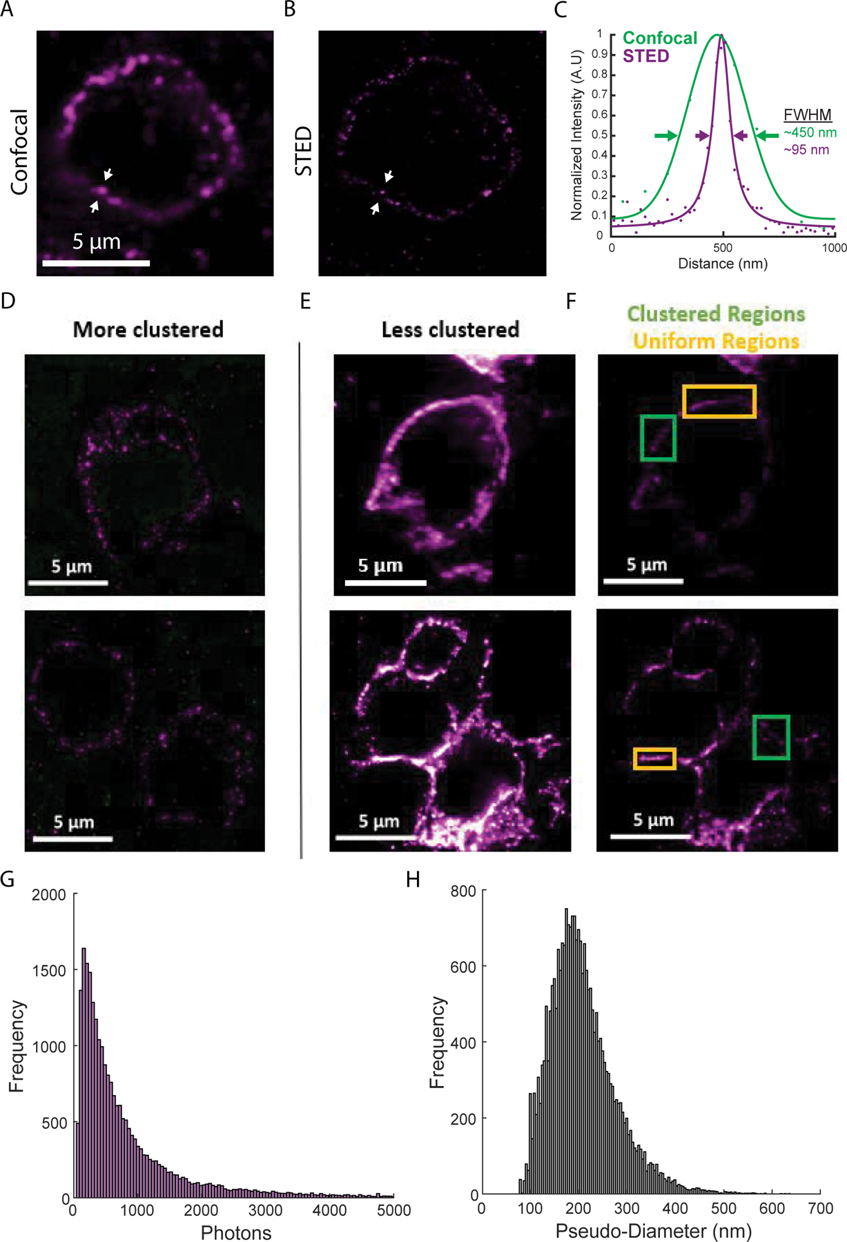 Figure 2: