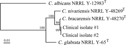 FIG. 1.