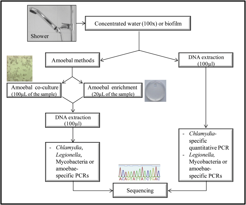 Fig. 3