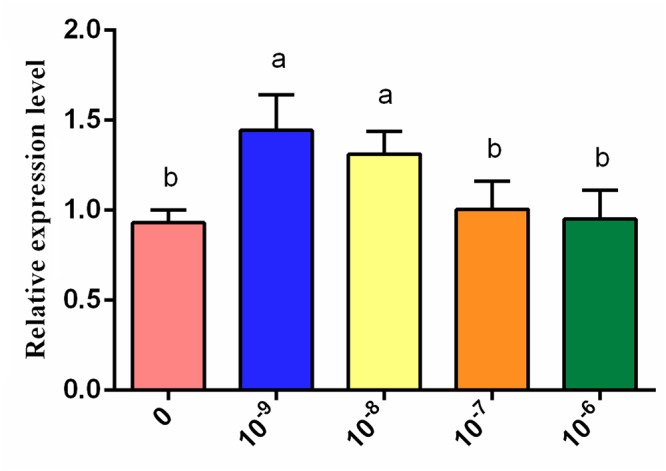 Figure 10