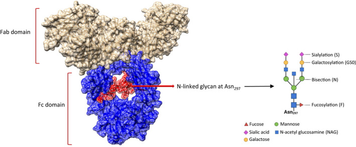 FIGURE 2