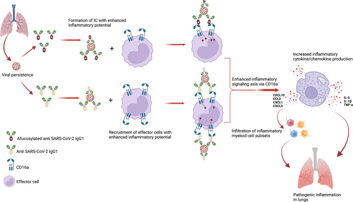 FIGURE 4