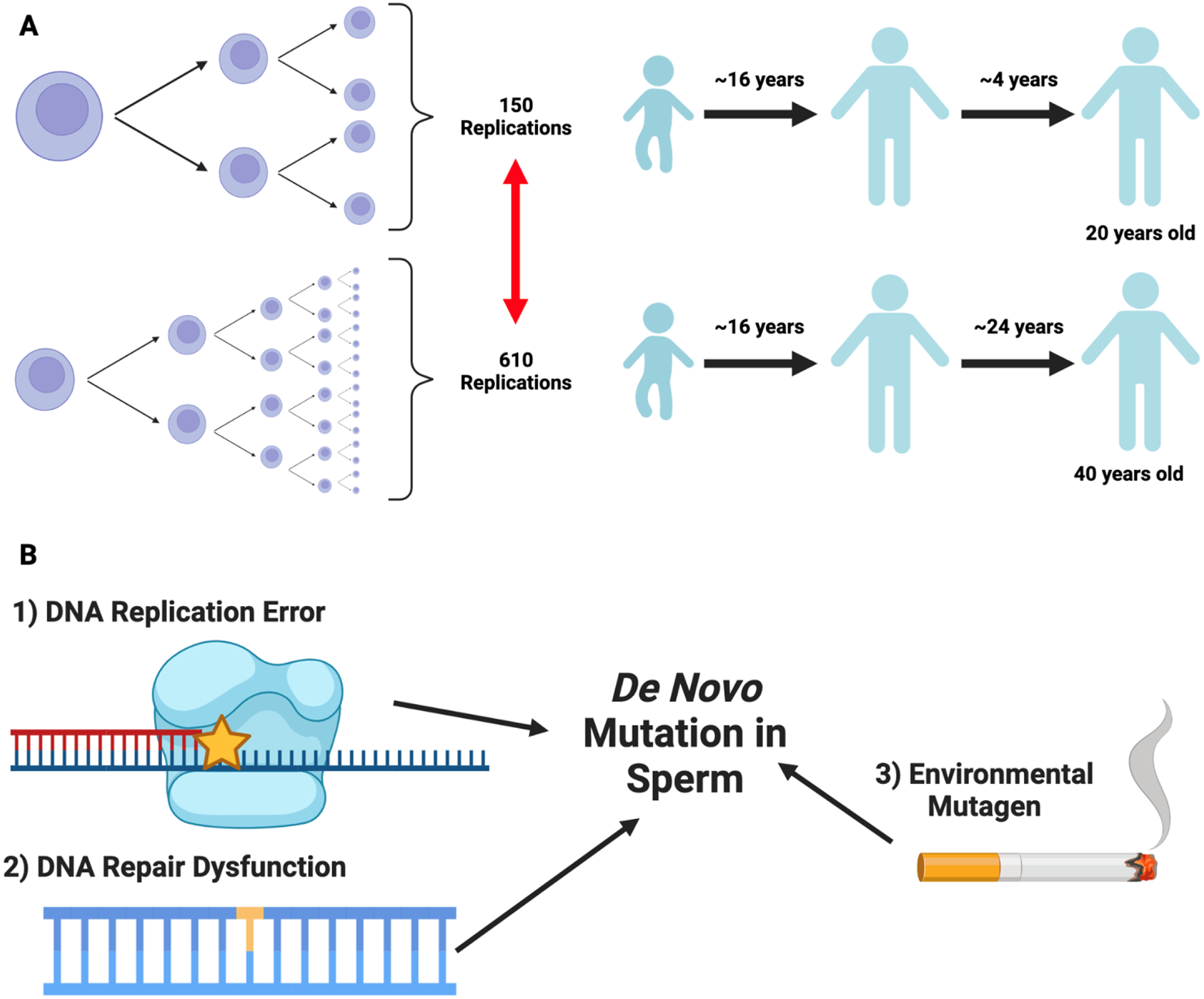 Figure 2 -