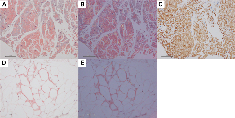 Figure 2