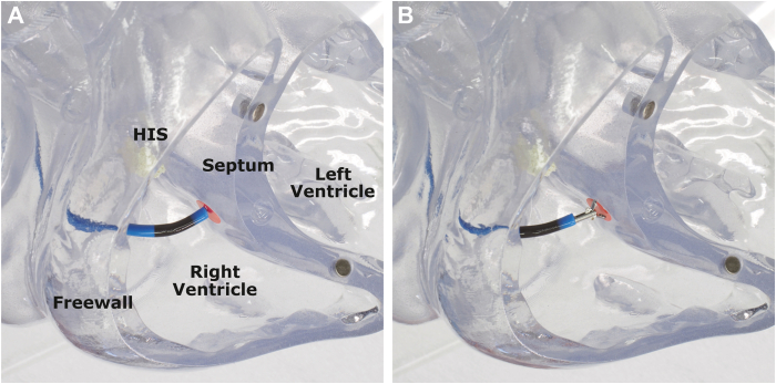 Figure 3