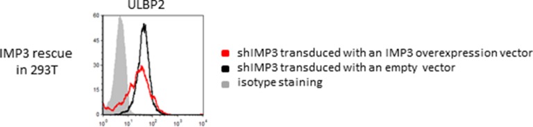 Figure 4—figure supplement 1.