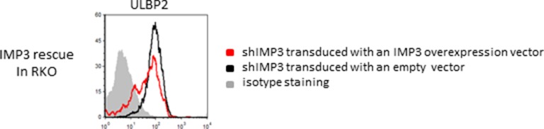 Figure 2—figure supplement 1.