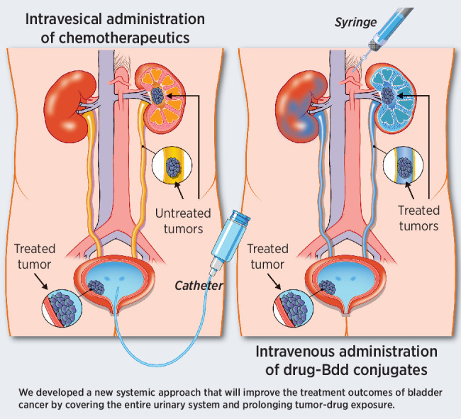 graphic file with name overview_graphic_can-21-2897.jpg