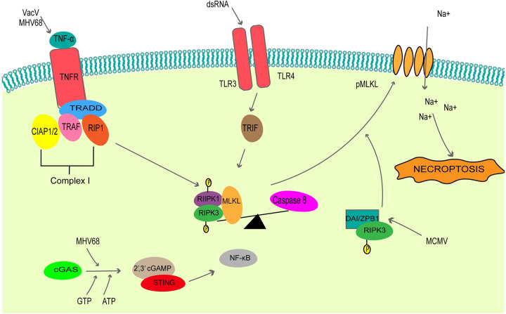 Fig 2