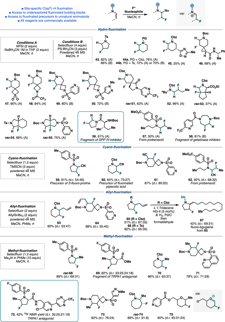 Scheme 5.