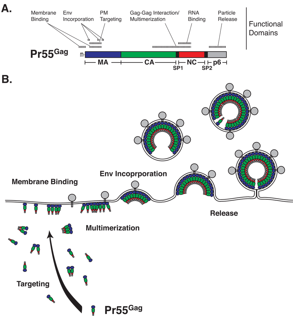 Fig. 1