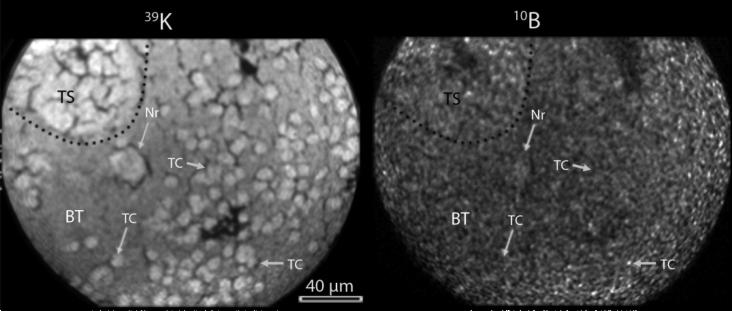 Fig.2