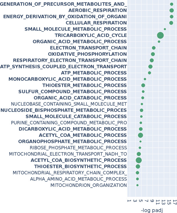 Figure 3: