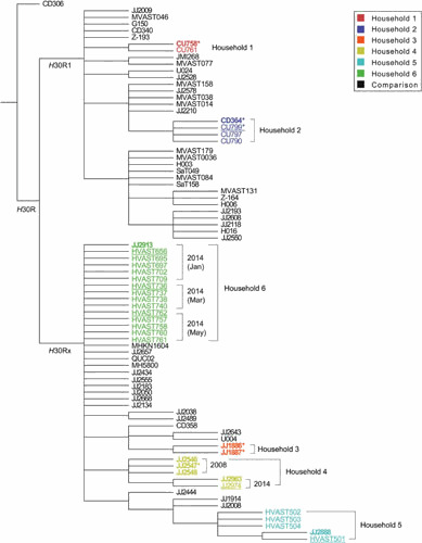 Figure 11