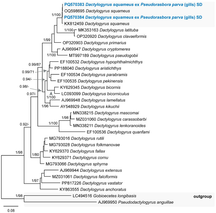 Figure 11