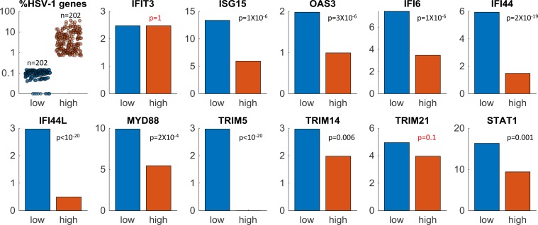 Figure 2—figure supplement 2.