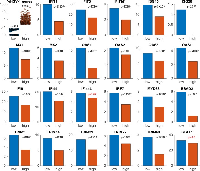 Figure 3—figure supplement 1.