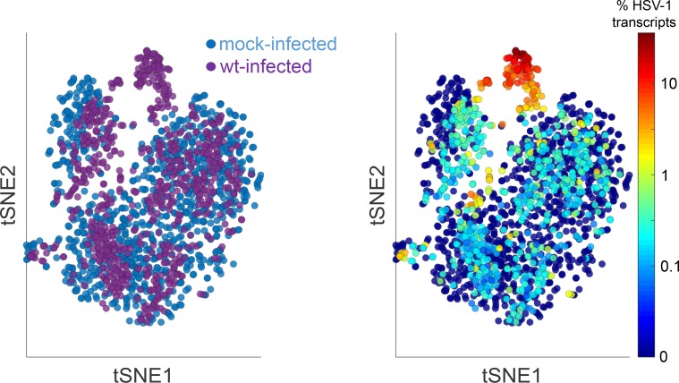 Figure 1—figure supplement 2.