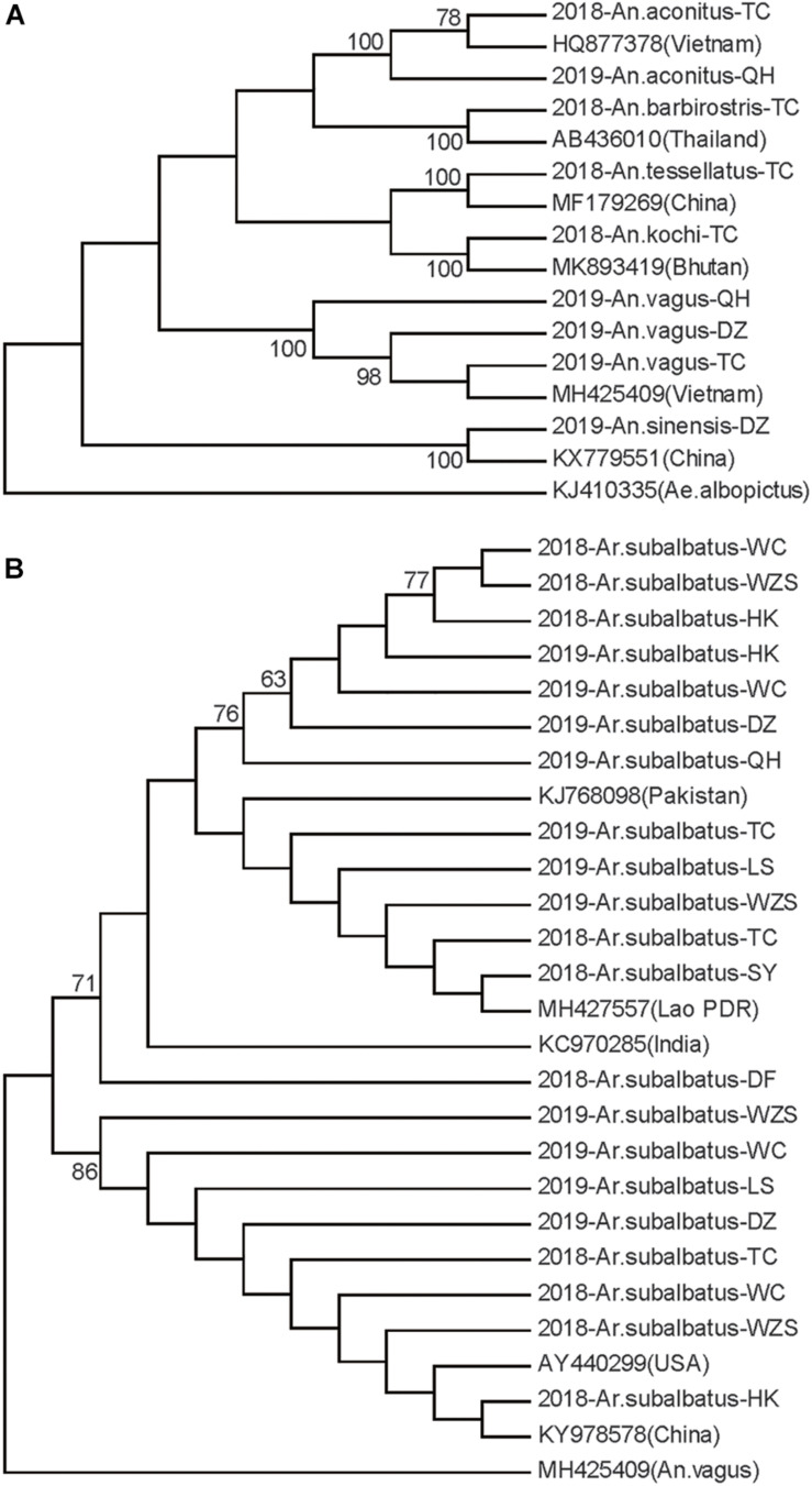 FIGURE 3