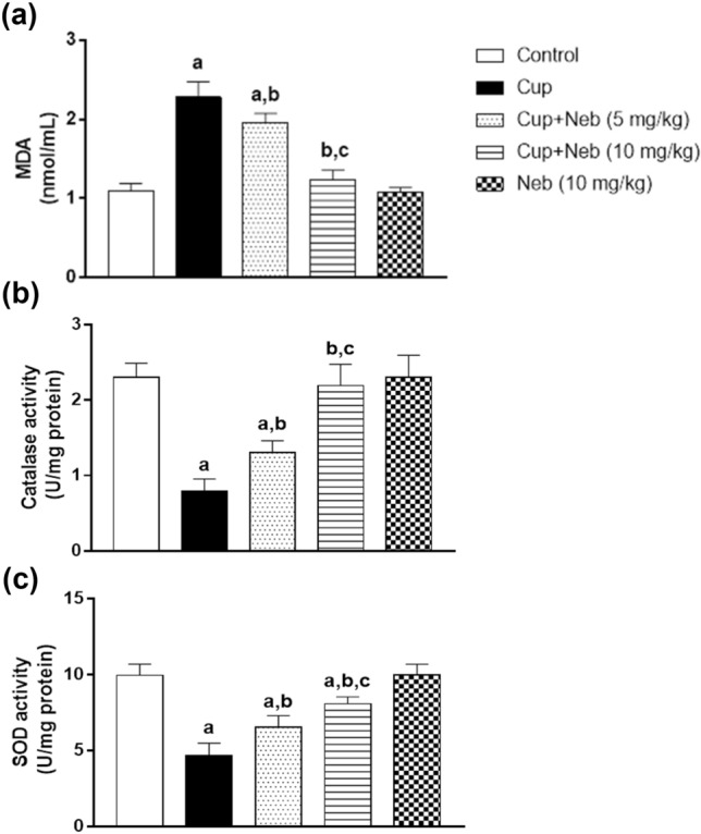 Fig. 12