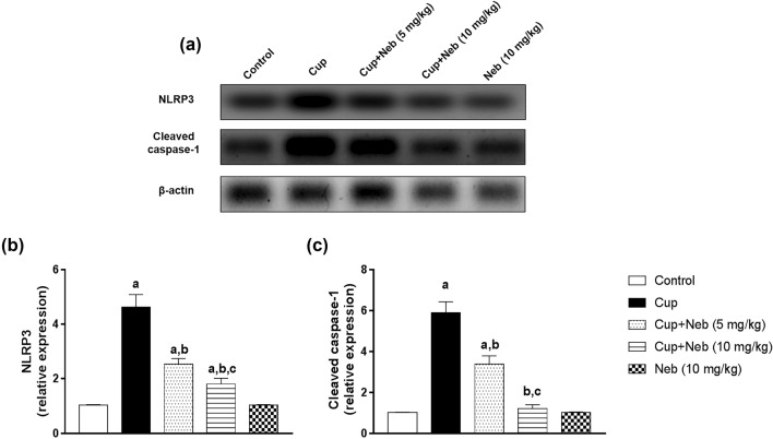 Fig. 10